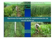 Opciones de producción de forrajes para diferentes ... - Proleche.