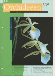 1998 - 2 - Orchideeën Vereniging Vlaanderen