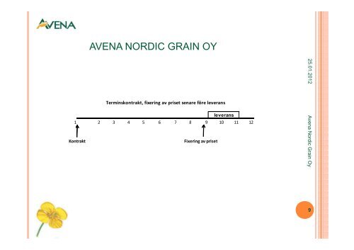 Avena Nordic Grain - Slf