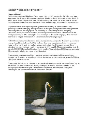 rapport Vissen op het Broekskot - Natuurpunt Hobokense Polder