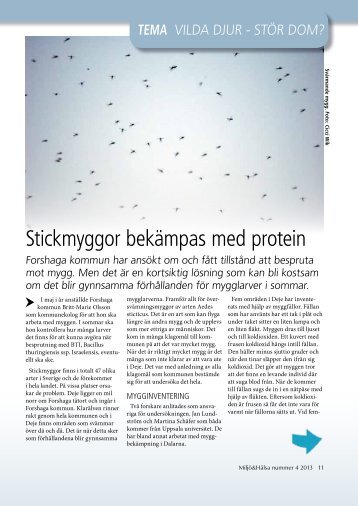 Stickmyggor bekämpas med protein - Forshaga.org