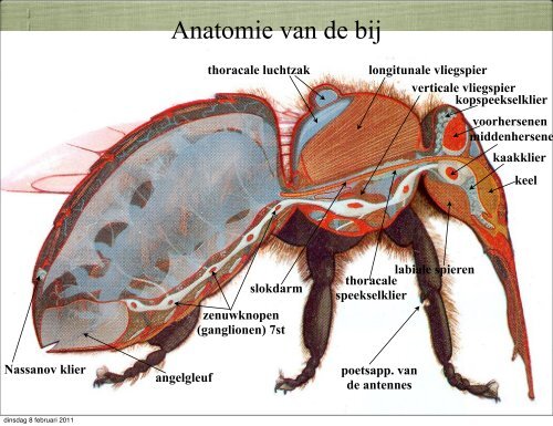 Van ei tot bij - Herbie5300.nl - Home