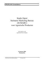 Studie Opzet Suriname Marketing Bureau (SUMABU ... - Apura.org