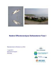 Nadere Effectenanalyse Deltawateren Fase I - Natura 2000 ...
