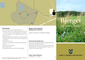 Bjerget Folder - Aage V. Jensens Fonde