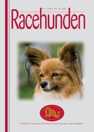 Racehunden 2008 Oktober - Dansk Racehunde Union