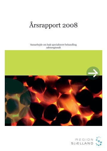 Årsrapport 2008 (pdf) - Region Sjælland
