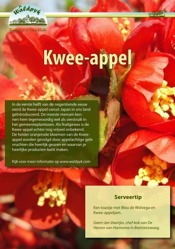 Kwee-appelflyer