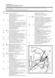 Antwoorden Oefentoets COMPOSITIE, derde klas. - tekenen