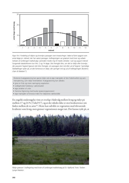 græsning og høslæt i naturplejen.pdf