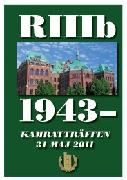 RIIIb -43 träffen den 31 maj 2011. Ladda