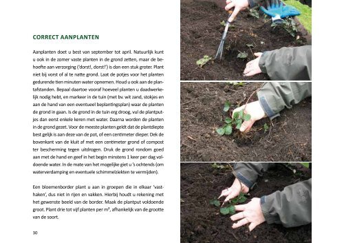 Vaste planten aanplanten - Imog