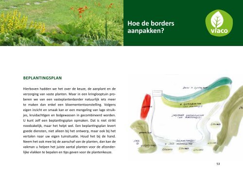 Vaste planten aanplanten - Imog