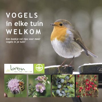 V O G E L S in elke tuin W E L K O M - Natuurpunt