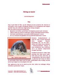 Fôring av kanin - Medirabbit