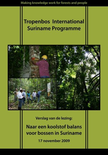 Tropenbos International Suriname Programme