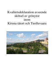 Kvalitetsdeklaration avseende skötsel av grönytor inom Kiruna tätort ...