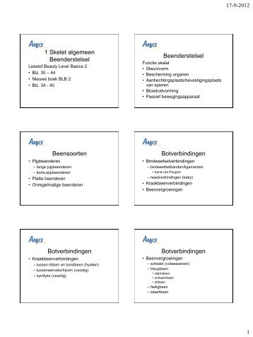 1 Skelet algemeen Beenderstelsel Beenderstelsel Beensoorten ...