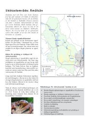 Åmålsån - Övre o Nedre kalven kortversion.p65