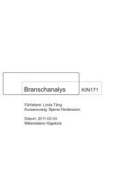 Branschanalys KIN171 - Mälardalens högskola