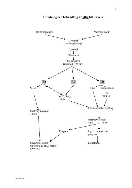 Vårdprogram för Urotelial urinblåsecancer 2000 - Medac