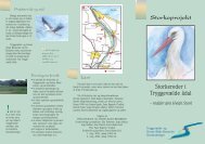 Storkeprojekt Storkereder i Tryggevælde ådal