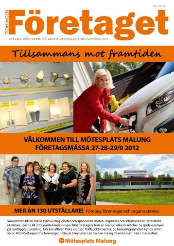 Företaget nr 3, år 2012 - Malung-Sälens kommun