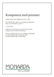 Komponera med perenner Forslin - Monarda