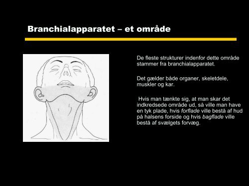 BRANCHIALAPPARATET