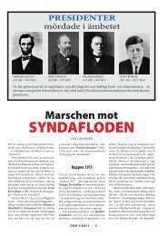 marschen mot SYNDAFLODEN - DSM