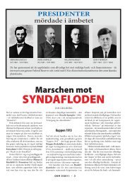 marschen mot SYNDAFLODEN - DSM