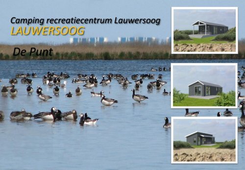 LAUWERSOOG De Punt - Camping Lauwersoog