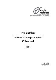 Projektplan 2011 - Region Värmland