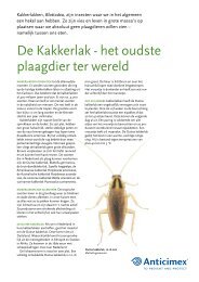 De Kakkerlak - het oudste plaagdier ter wereld - Anticimex