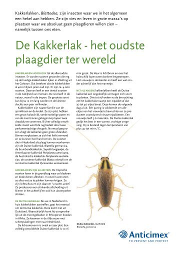 De Kakkerlak - het oudste plaagdier ter wereld - Anticimex