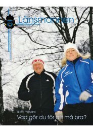 Länsmannen - Polisen