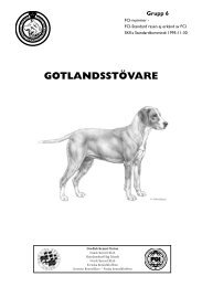 Standard för Gotlandsstövare