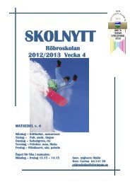 SKOLNYTT 13 v 4 - Storumans skolor