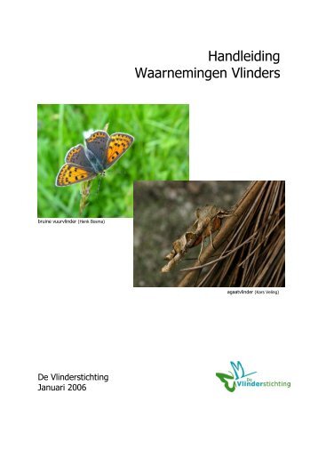 Handleiding Waarnemingen Vlinders - Gegevensautoriteit Natuur