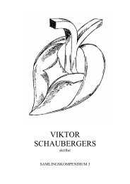 VIKTOR SCHAUBERGERS