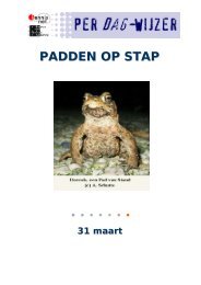 PADDEN OP STAP - Kennisnet