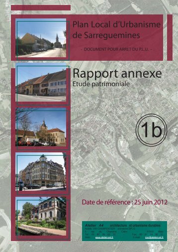 Rapport annexe - Ville de Sarreguemines