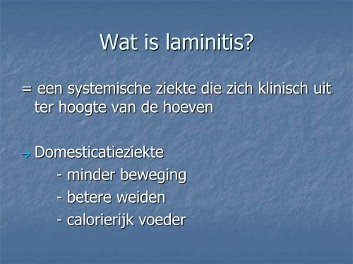 LAMINITIS BIJ HET PAARD - Dierenarts Daniël Steffens