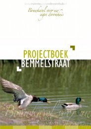 Brochure Bemmelstraat.pdf - Bouwfonds