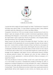 Comunicato stampa Ugo Mulas _1_ - Comune di Pozzolengo