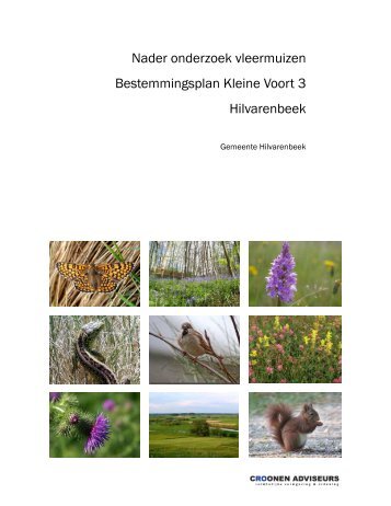 Nader onderzoek vleermuizen Bestemmingsplan Kleine Voort 3 ...