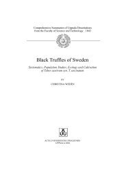 Black Truffles of Sweden