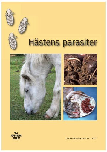 Hästens parasiter - bild - Jordbruksverket