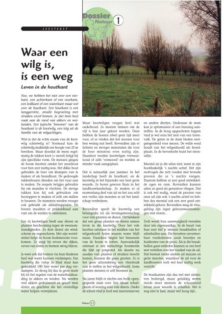 Waar een wilg is, is een weg - Grasspriet