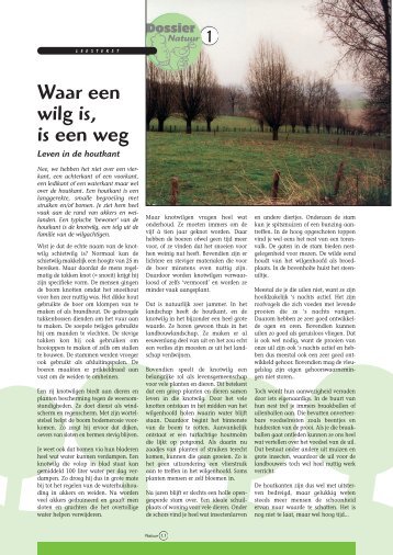 Waar een wilg is, is een weg - Grasspriet